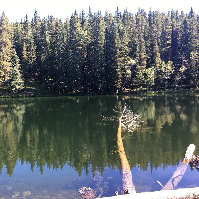 picture of Champion Lakes Alberta